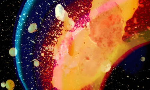 In Rainbows (20th Anniversary)